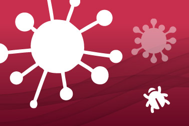 What is the Best Antivirus Software?