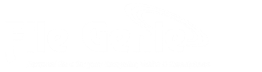 File Genie
